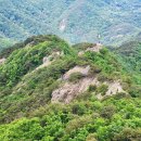 보훈주유소 이미지