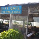 들꽃이 있는집 이미지