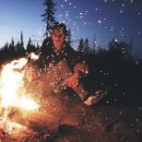 안의꽃사랑 이미지