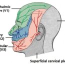 평촌한의원 이미지