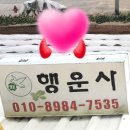 행운사 | 태풍하이선 재난대비 하세요 꼬추 후기재배 헛거름팁 #행운사농원