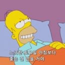 제주돈 도야지 이미지