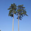 장백농장 이미지