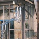 조선소한복 이미지