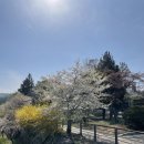 국립서울현충원 선양단지화장실 | 서울 '국립서울현충원' 방문 후기와 자세한 정보