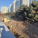 중앙동271 이미지