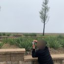 [태국관광여행사 사진사 알바후기-1탄] 견습후기!