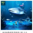 리즈아쿠아