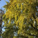 이마트24 신곡주주점 | [일상] 11.03-11.09 연말 is coming