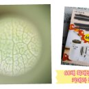 응애농원 이미지