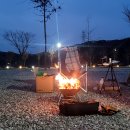 진천 포레스트 캠핑장 | 진천포레스트 캠핑장 우당탕탕 가족캠퍼의(노르딕크로스 하마비 텐트) [리뷰]