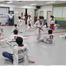 효경석사태권도 이미지