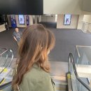 [LA여행] 그로브<b>몰</b>(THE GROVE), 더 <b>알마</b>(alma) 멕시칸 맛집 추천