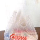 지코바덕소