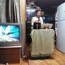 홍적천 Daum카페