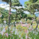 남원꽃식물원 앞 이미지