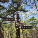 삼남매 | 배방산 등산코스 정복! 체력 탈탈 털렸지만 정상 뷰에 반하고 온 삼남매 가족의 솔직 후기 ⛰️