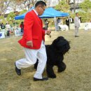 연암축산 이미지