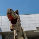 공룡박물관 이미지