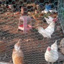 구산농장 이미지