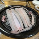 힘센장어