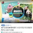 이레태권도 | 초3 아이 생일에 에버랜드 처음 간 날