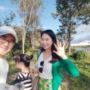 비비정예술열차 이미지