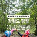 강원도 평창 흥정계곡 캠핑장추천 펜션추천 이편한펜션&amp;캠핑 후기