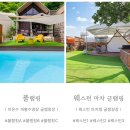 탁구B | 가평 반려견 동반 가능한 수영장 바베큐 있는 오하브 글램핑 풀램핑B 숙소후기