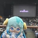 나심바 | 2026.04.18 아마자라시 내한 후기