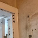 아네스테크 이미지