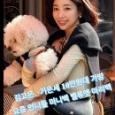 벨류엣 마리백 기은세 김고은 가방 미니백 추구미 10만원대 츄라이