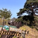 천년송가는길