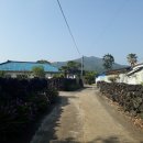 창천지석묘 1호 이미지