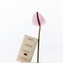 소로3-28 이미지