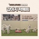힐링독 반려견센터 | 반려견 교육센터 바이털독 강아지 학예회 다녀왔어요.