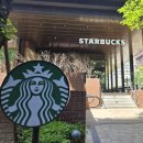 효도치킨가산퍼블릭점 | 스타벅스 가산퍼블릭점 내돈내산 후기 | 가산디지털단지 주차 가능 대형 카페 숲뷰 추천