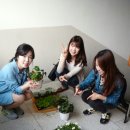 엘팝 이미지
