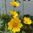 고척벽산베스트블루밍아파트 이미지