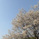 공원분식 이미지