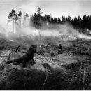 펜으로 그리는 세상 이미지