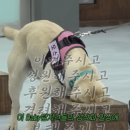 보릿고개 - 경주시 | 보릿고개