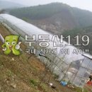 장암로 Daum카페
