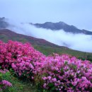 주산지 경로당 이미지