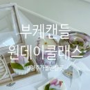 림스공방 | "드라이플라워 & 부케말리기, 청주 림스캔들 공방 후기"