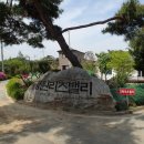 흥양상회