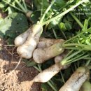 뽑기좋은날 이미지