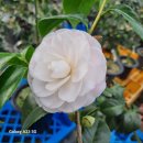 천중농장 이미지