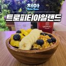 트로피티아일랜드천안두정점 이미지