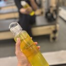 헬스닥터 | 아르기닌 타우린 고카페인 헬스 보충제 이온음료 에너지 드링크 닥터딜리온 에너지5플러스 솔직 후기